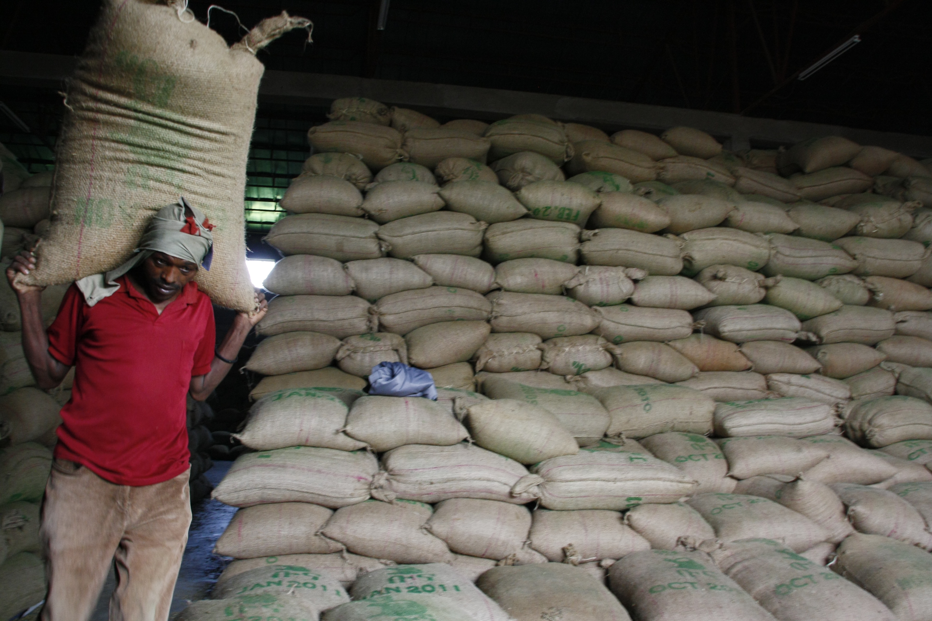 Divine Coffee Exporters & Traders Uganda Limited (East Africa)